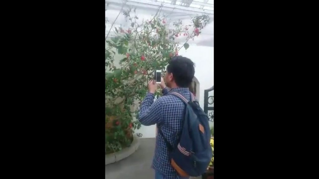 MAIN KE FLOWER PARK HAMAMATSU JAPAN