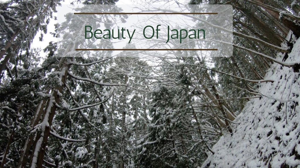 Beauty Of Japan | Travel Japan 2020 Beauty Of Japan | Travel Japan 2020