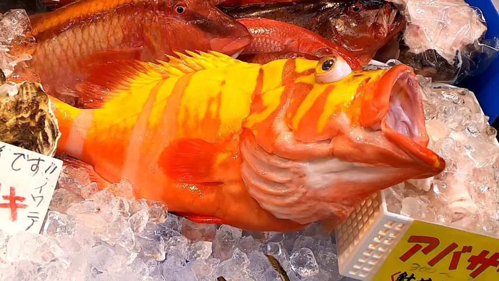 Japanese Street Food – Giant Japanese Cod Cutting for SASHIMI Okinawa Japan Japanese Street Food - Giant Japanese Cod Cutting for SASHIMI Okinawa Japan