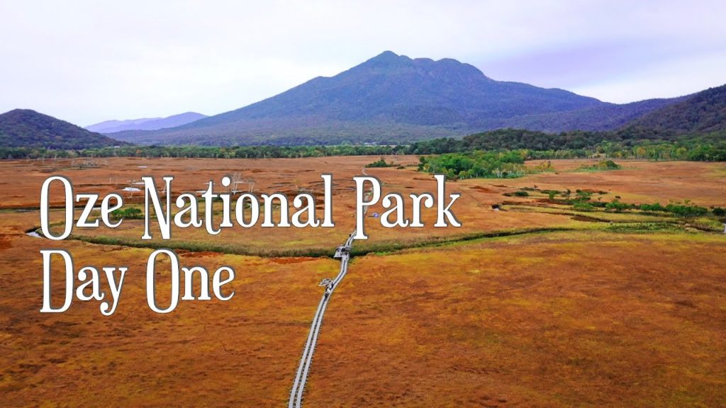 Oze National Park Day 1 |  Best Hike in Autumn 3 hours Drive from Tokyo