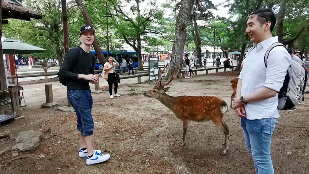 Nara, Japan (Travel Vlog)