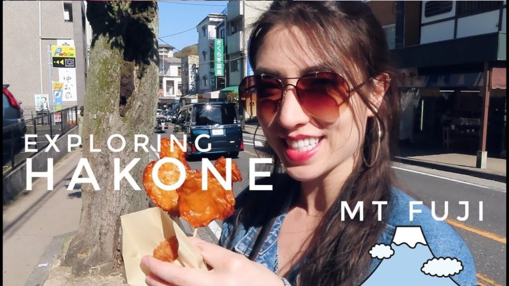 Hakone day trip! | How to see Mt. Fuji from Tokyo | VLOG #7