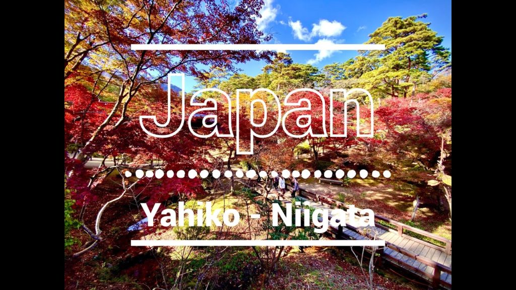 Giappone Yahiko Momijigari 紅葉狩 , Niigata - japan - autunno 4K