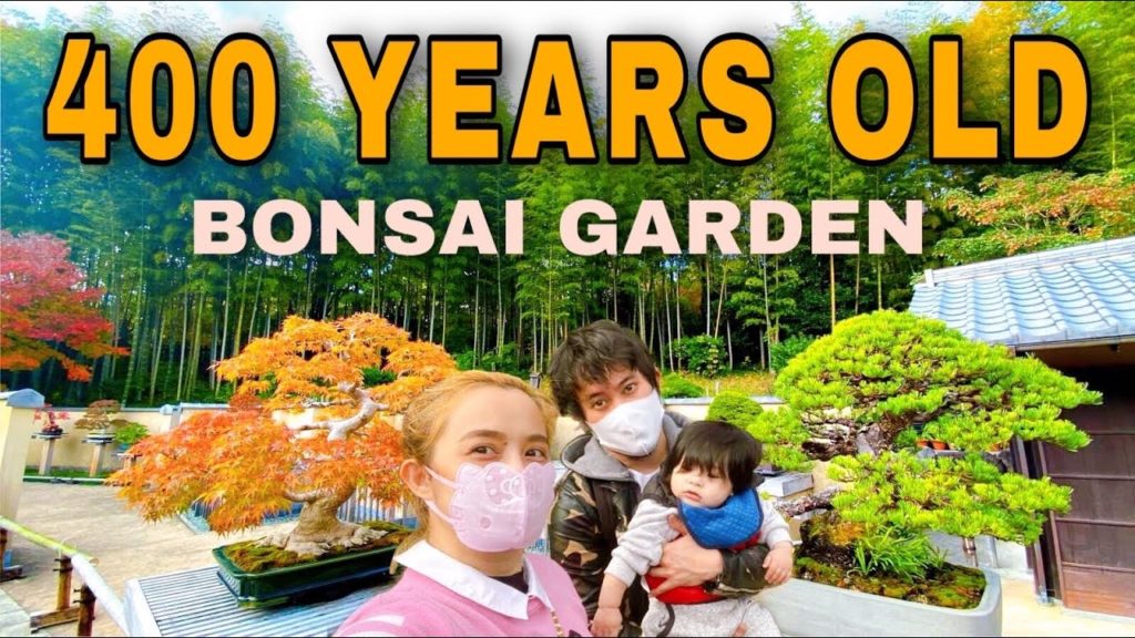 MEET THE 400 YEARS OLD BONSAI | DERICK ALJON