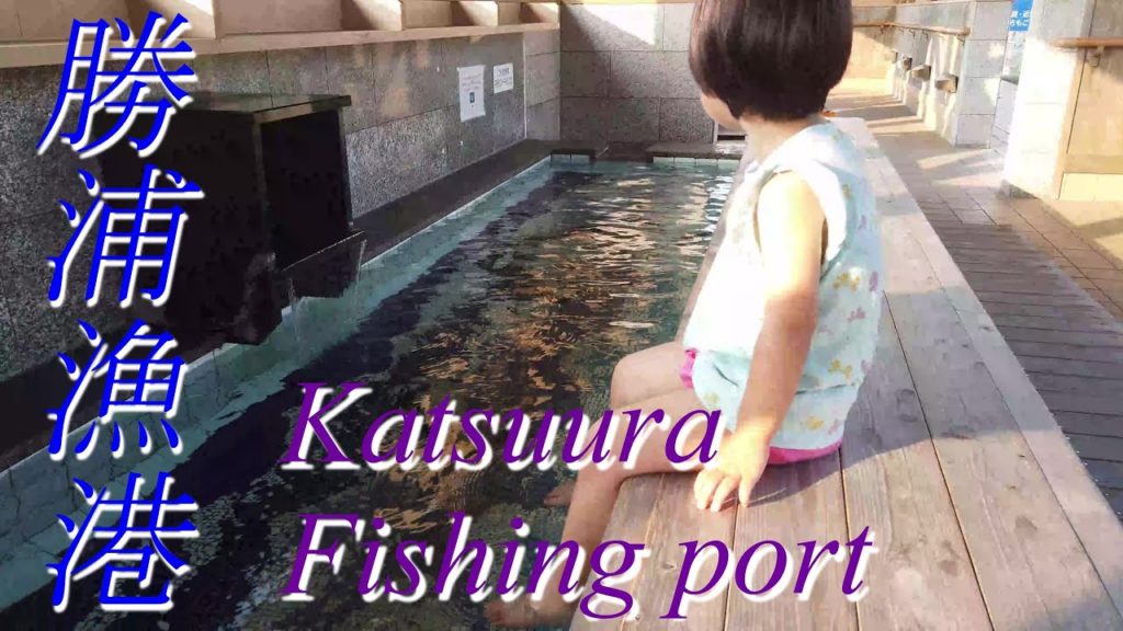 Katsuura Fisher port Wakayama Pref. 勝浦漁港 和歌山県 Japan 4K DJI Osmo pocket Katsuura Fisher port Wakayama Pref. 勝浦漁港 和歌山県 Japan 4K DJI Osmo pocket