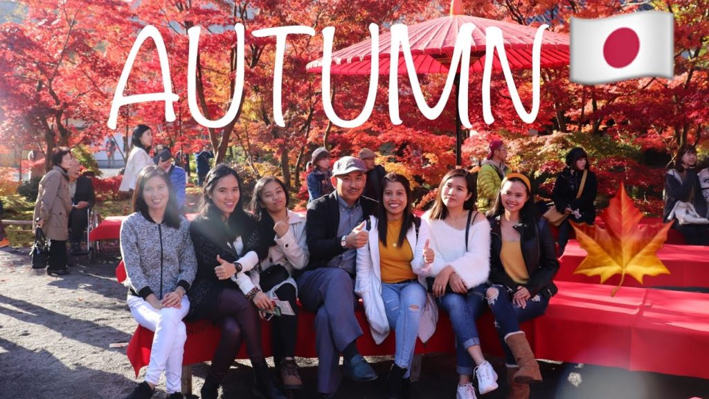 AUTUMN LEAVES IN KYOTO JAPAN