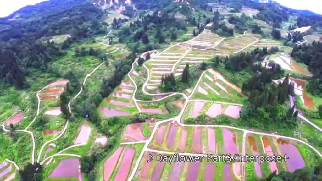The aerial view of Terraced Rice-fields at Tokamachi, Niigata, Japan / DJI Phantom2 with GoPro