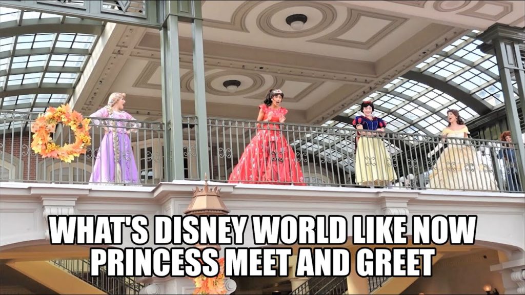 Meet Your Favorite Disney Princess | Sony ZV 1 Test | What to expect  at Disney World Magic Kingdom