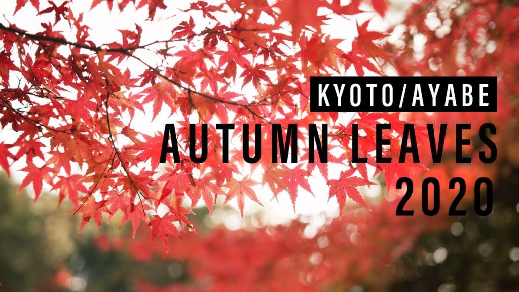 京都府綾部市・紅葉2020／Cinematic travel Vlog /by BMPCC 6K