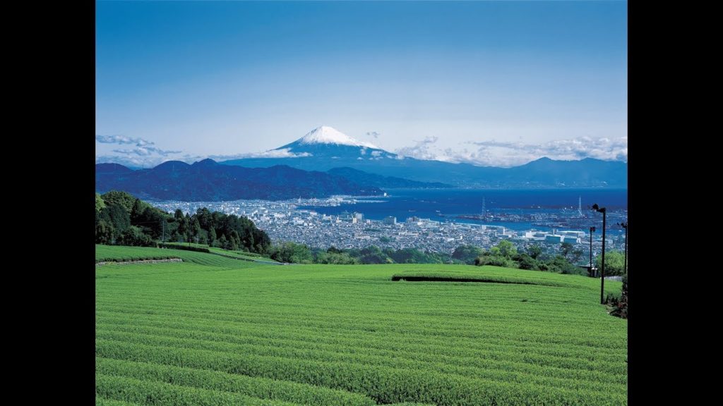 What a beautiful！ Shizuoka City