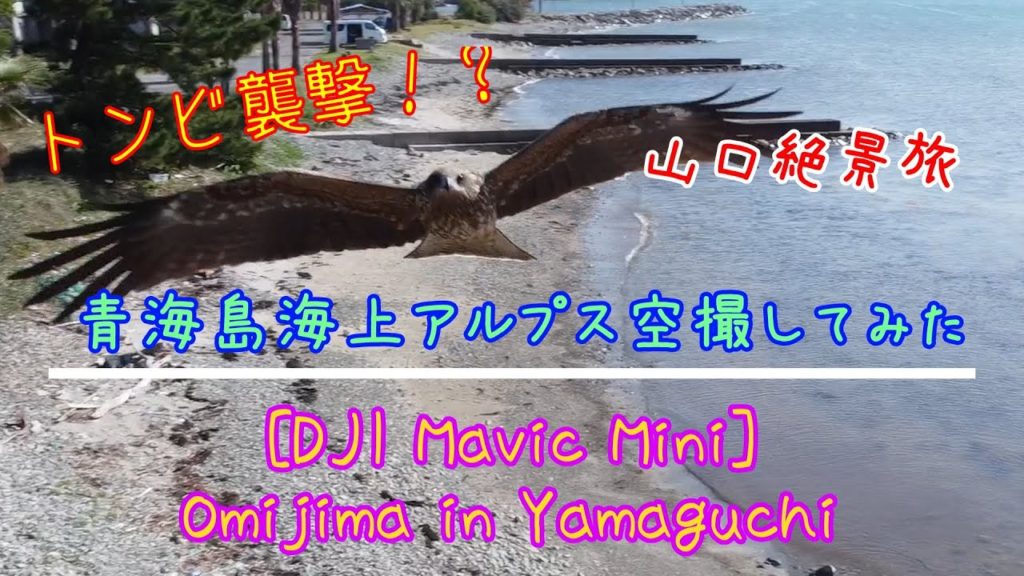 【DJI MavicMini】トンビ襲撃!山口絶景旅。青海島海上アルプスを空撮してきた【Omijima in Yamaguchi】