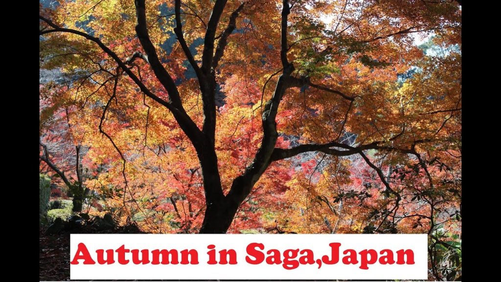 Autumn in Saga, Japan