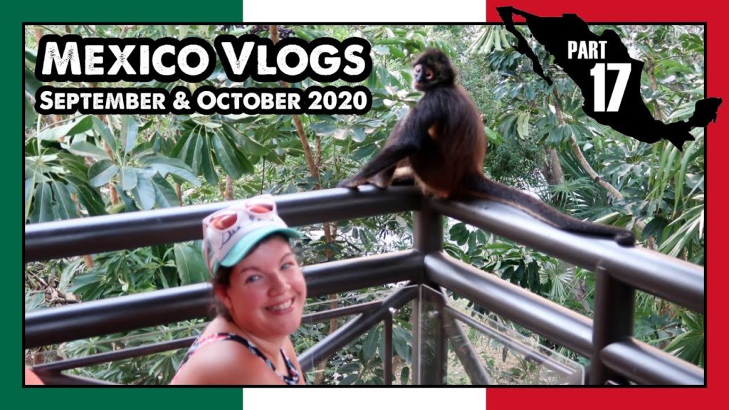 Mexico Part 17: Our Last Day In Mexico, Drone Footage, One More Monkey, Traveling Home - ParoDeeJay