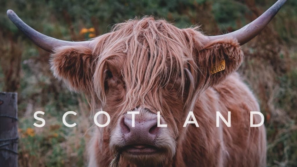 SCOTLAND Cinematic Travel Video   Sony A6500 |  Paula Usabiaga SCOTLAND Cinematic Travel Video   Sony A6500 |  Paula Usabiaga