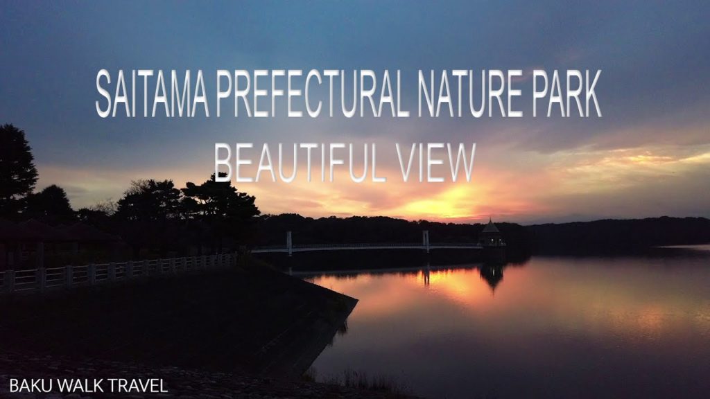 Walk around Saitama – Sayama Shizen Kouen Walk around Saitama - Sayama Shizen Kouen