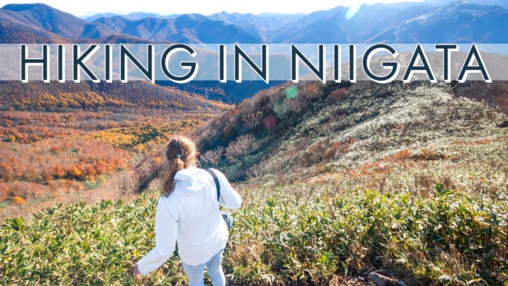 Hidden gems in Japan: Hiking in Niigata! 新潟でのハイキング