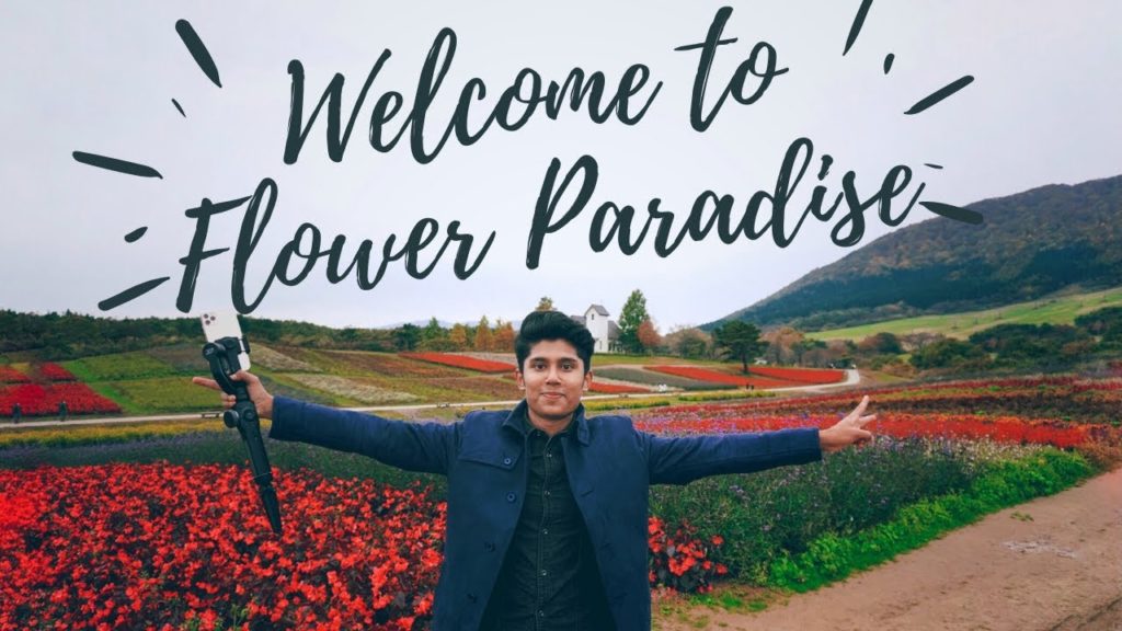 Welcome to Flower Paradise ‼︎জাপানের বিখ্যাত ফ্লাওয়ার গার্ডেন やくらいガーデン　Natural Beauty of Japan 🇯🇵