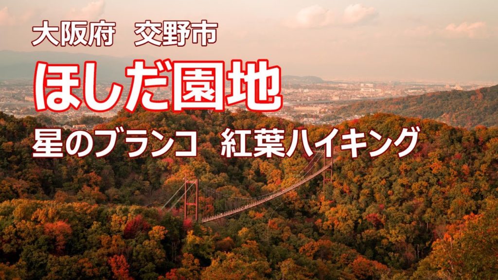 ほしだ園地　紅葉　関西人気のハイキングコース　大阪府　交野市