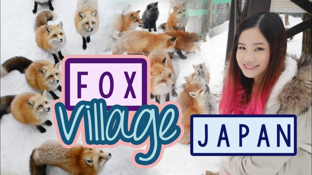 Japan Vlog: Zao Fox Village in JAPAN | キツネ村 Japan Vlog: Zao Fox Village in JAPAN | キツネ村
