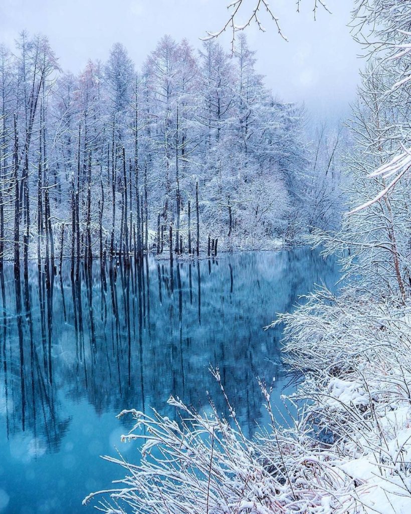 Goodbye autumn, hello winter!  The change of seasons sees much of the northern r...