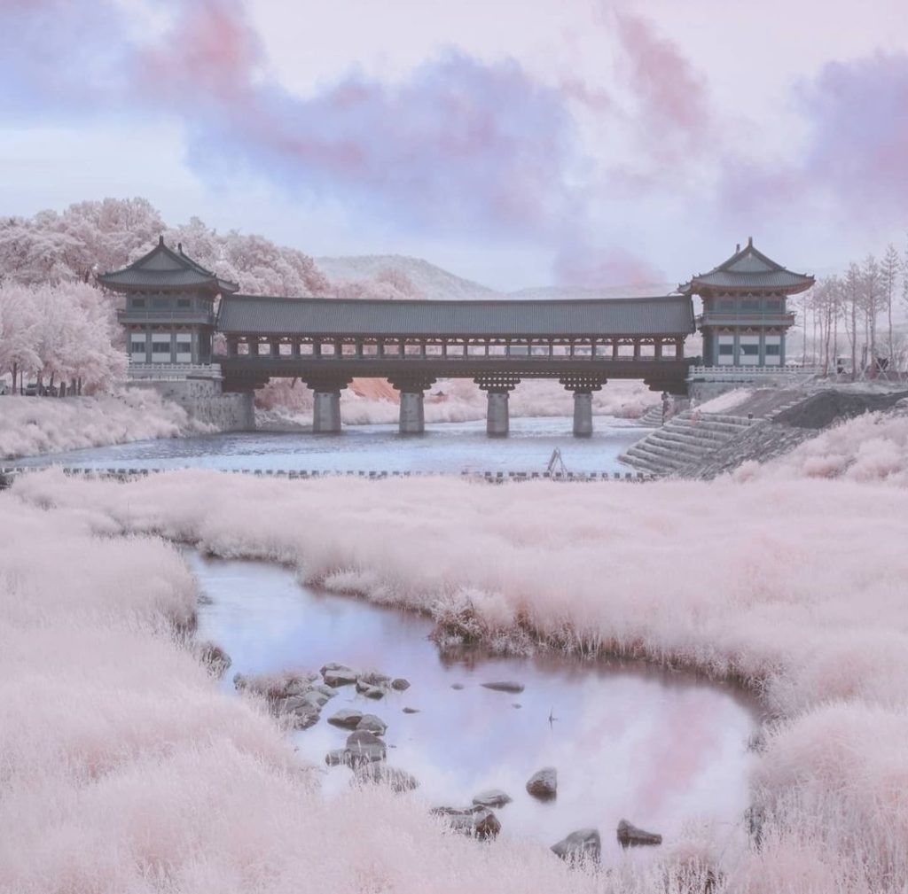 I bet you like that ...