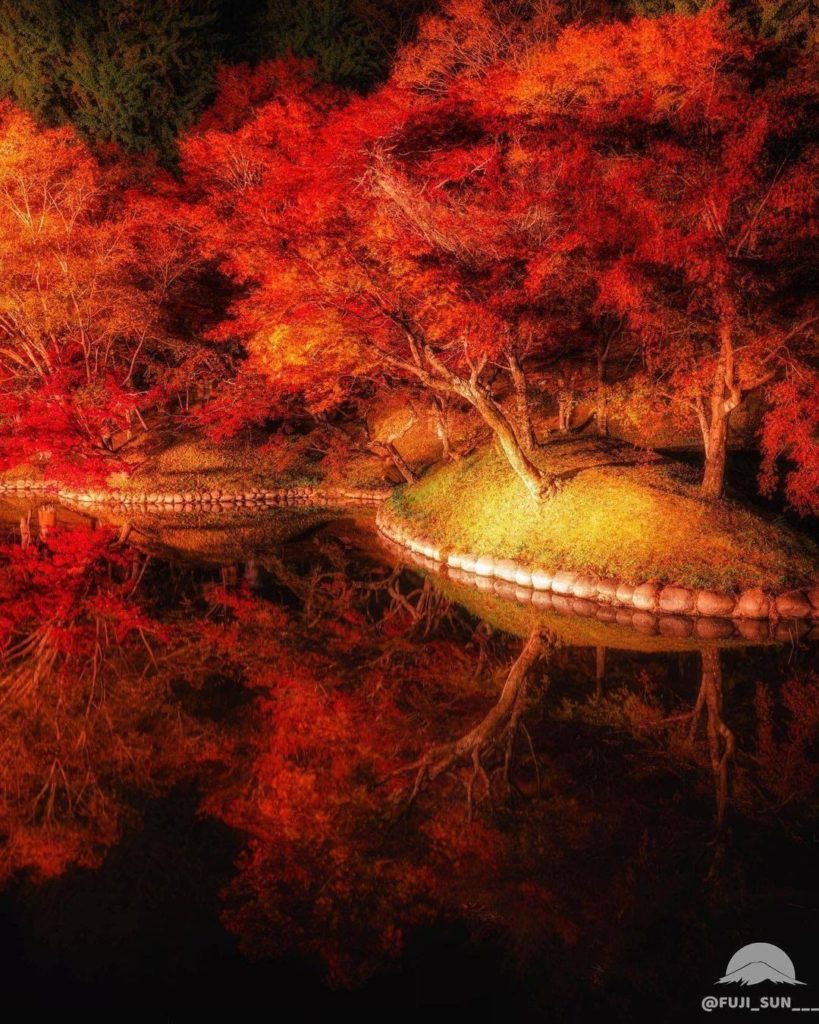 Visit Japan: Yujaku Park in Oita Prefecture is an ideal location to visit in late autumn mont… Yujaku Park in Oita Prefecture is an ideal location to visit in late autumn mont...