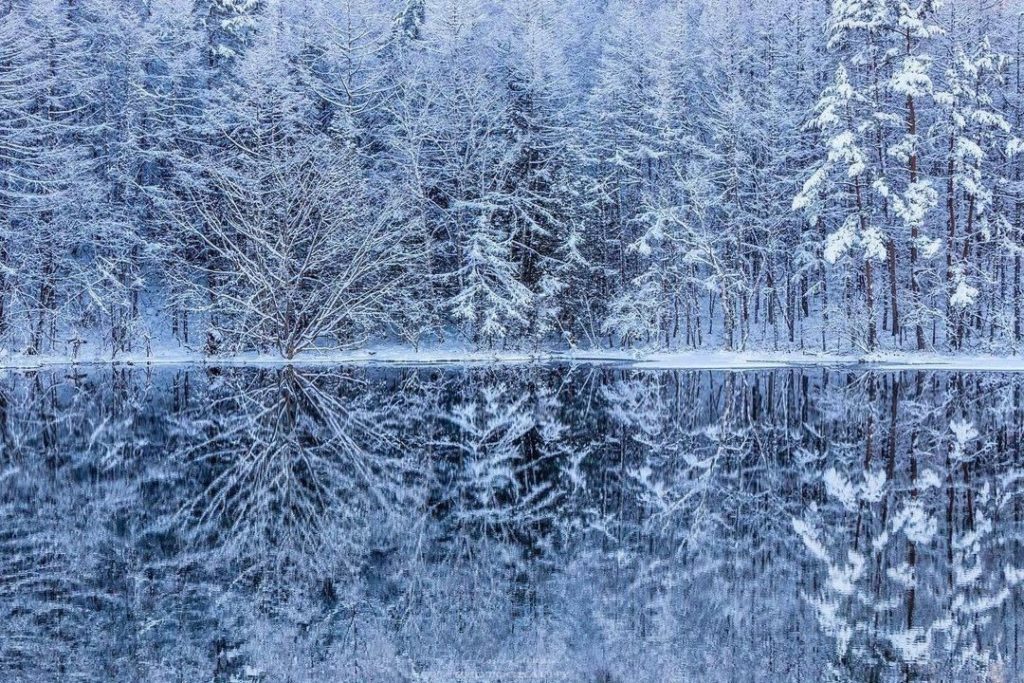 Visit Japan: Welcome to a winter wonderland Mishakaike Pond in Nagano Prefecture is a scenic… Welcome to a winter wonderland Mishakaike Pond in Nagano Prefecture is a scenic...