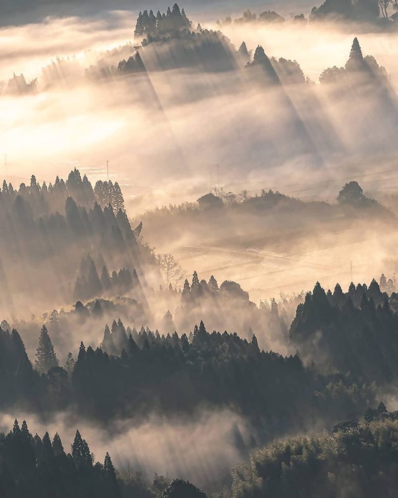 What a mystical scene! Kagoshima Prefecture's Uono Flight Area, which has been d...