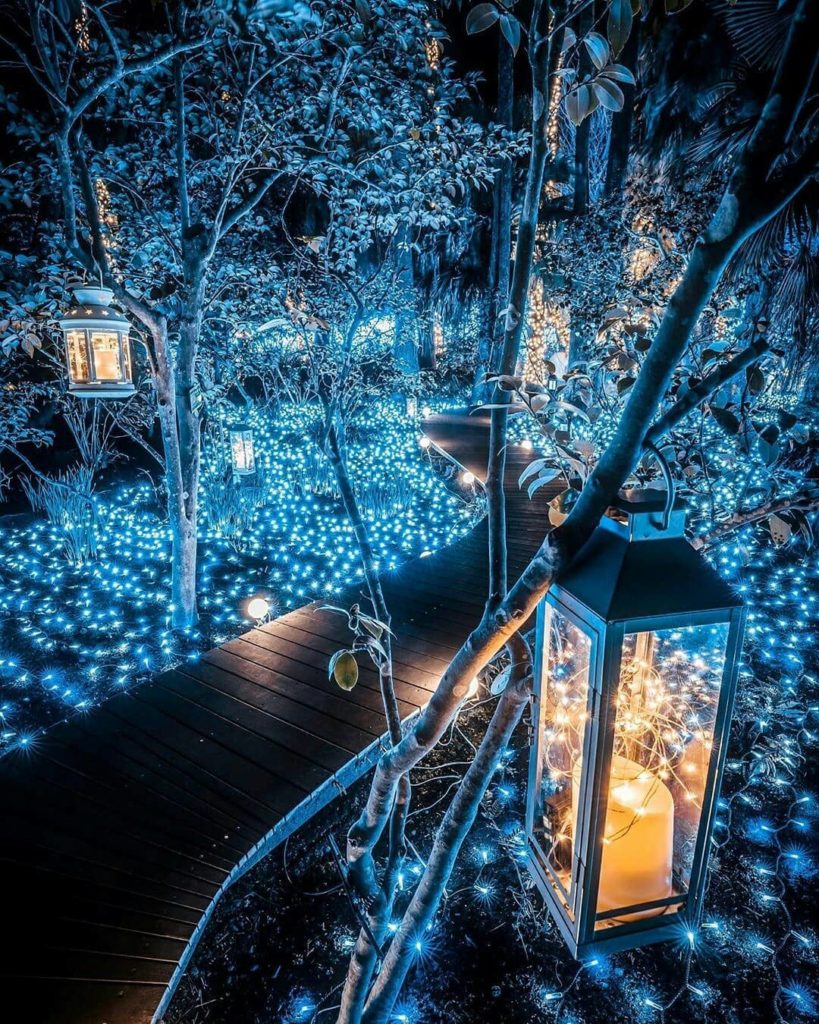 Wrap up warm and enjoy one of Japan's favourite festive past times - ILLUMINATI...
