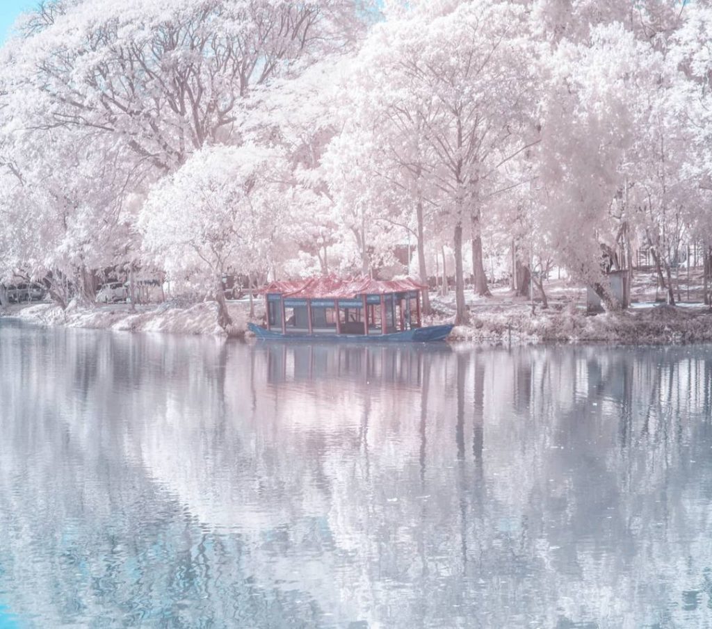 As if it's my last
Goodbye and Hello...