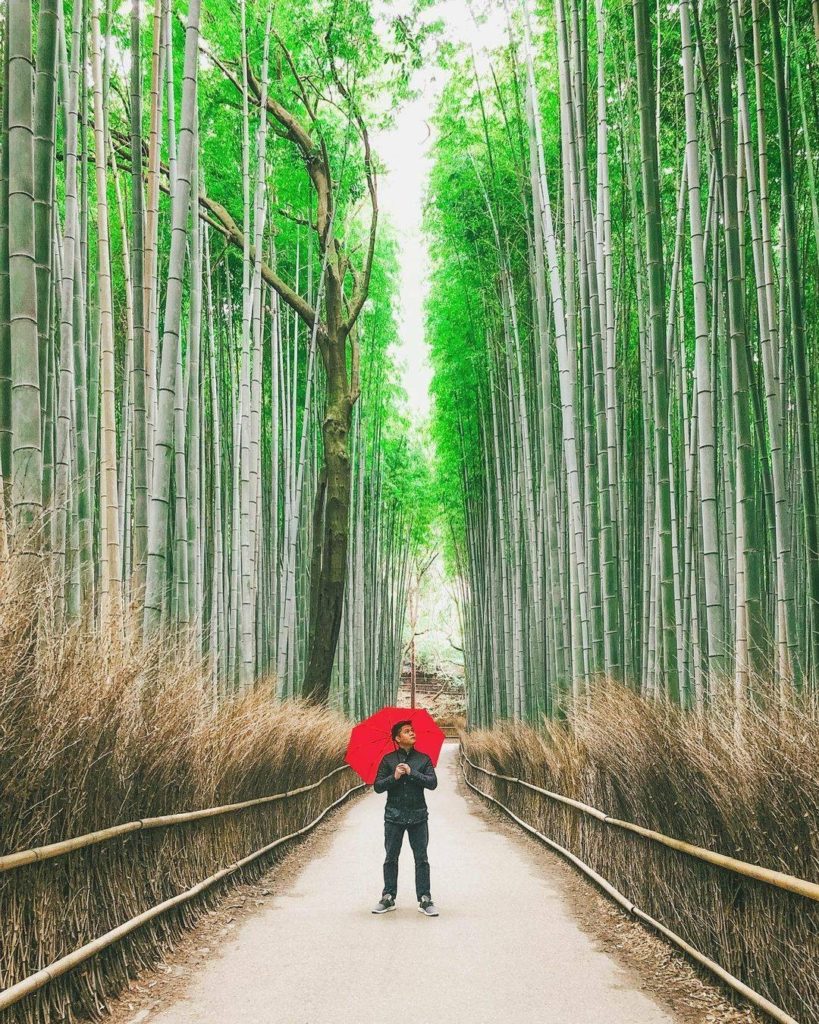 Japan Travel: The Arashiyama Bamboo Grove is gorgeous — but did you know how amazing bamboo a… The Arashiyama Bamboo Grove is gorgeous -- but did you know how amazing bamboo a...