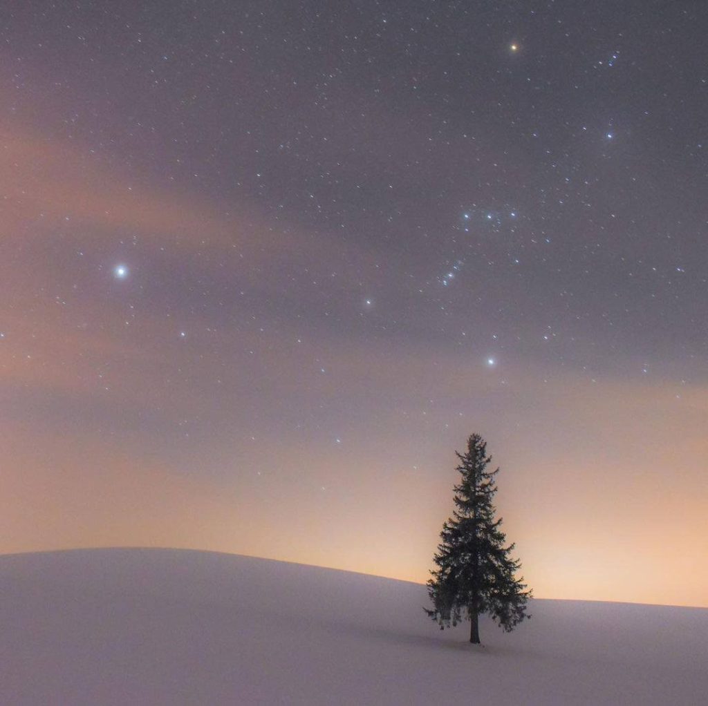 Japan Airline: The sky full of stars overlooking the conifer below create a scene straight out … The sky full of stars overlooking the conifer below create a scene straight out ...