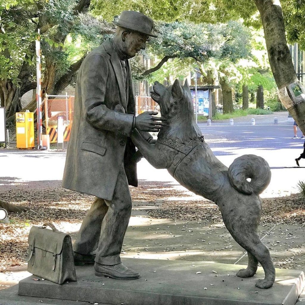 Many people are familiar with the statue of Hachiko in Shibuya, Tokyo, in memory...