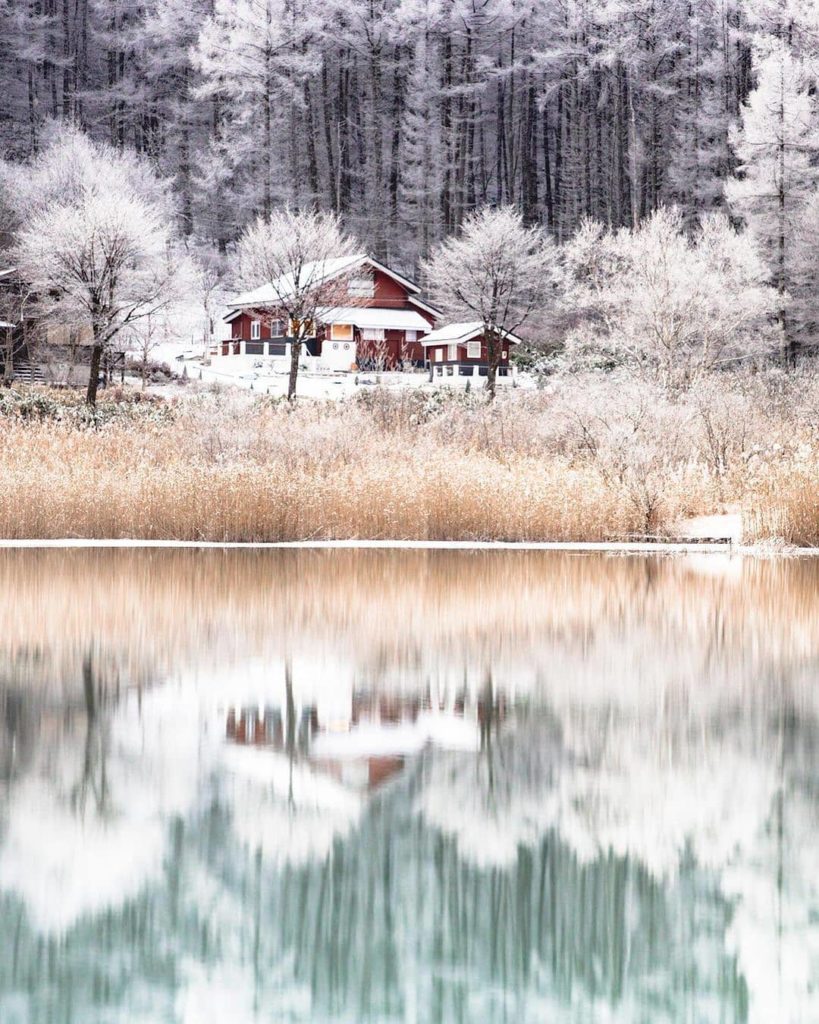 Scandinavia?  Nope - it's Nagano! Obsessed with this shot by the lovely and tale...