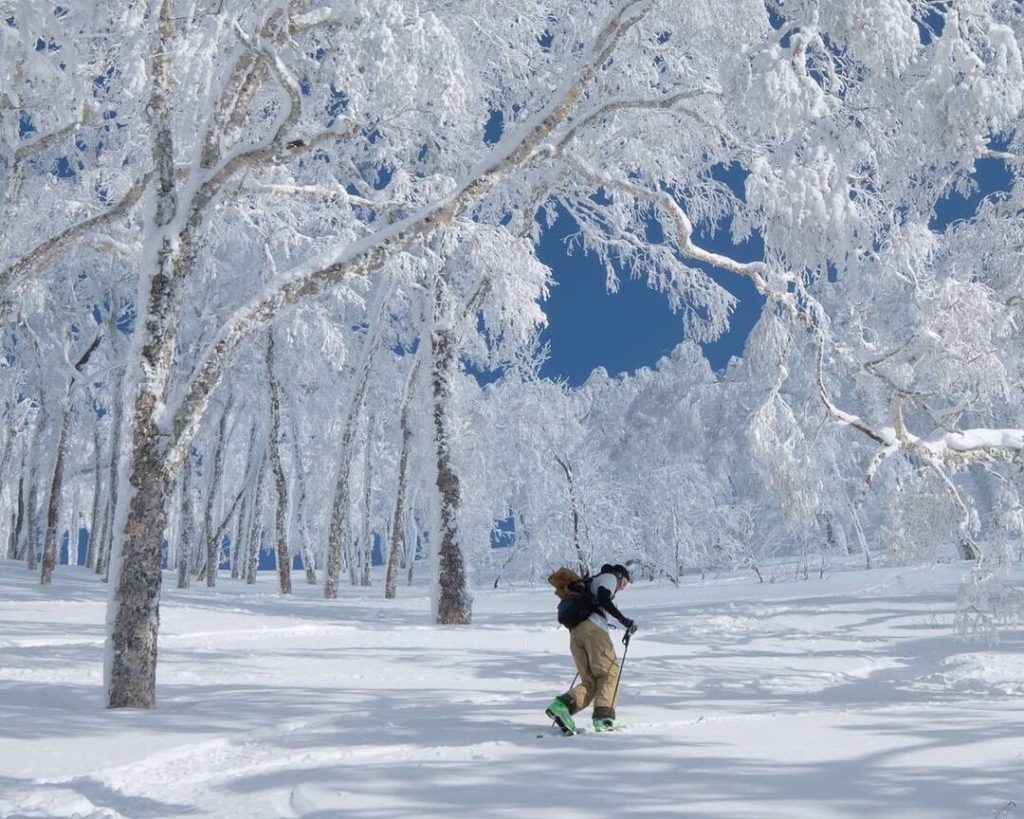 In Hokkaido you can enjoy lots of outdoor winter sports. Ski resorts such as Nis...