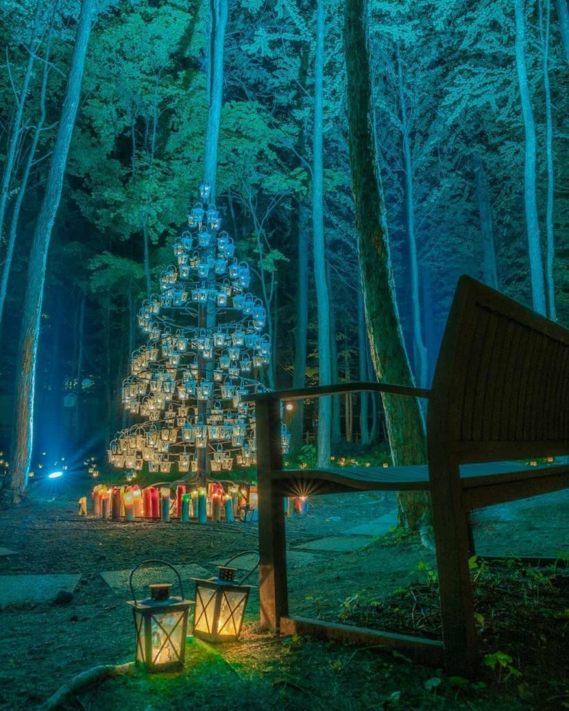 Japan Travel: Merry Christmas to those of you who are celebrating today. We hope that even if … Merry Christmas to those of you who are celebrating today. We hope that even if ...