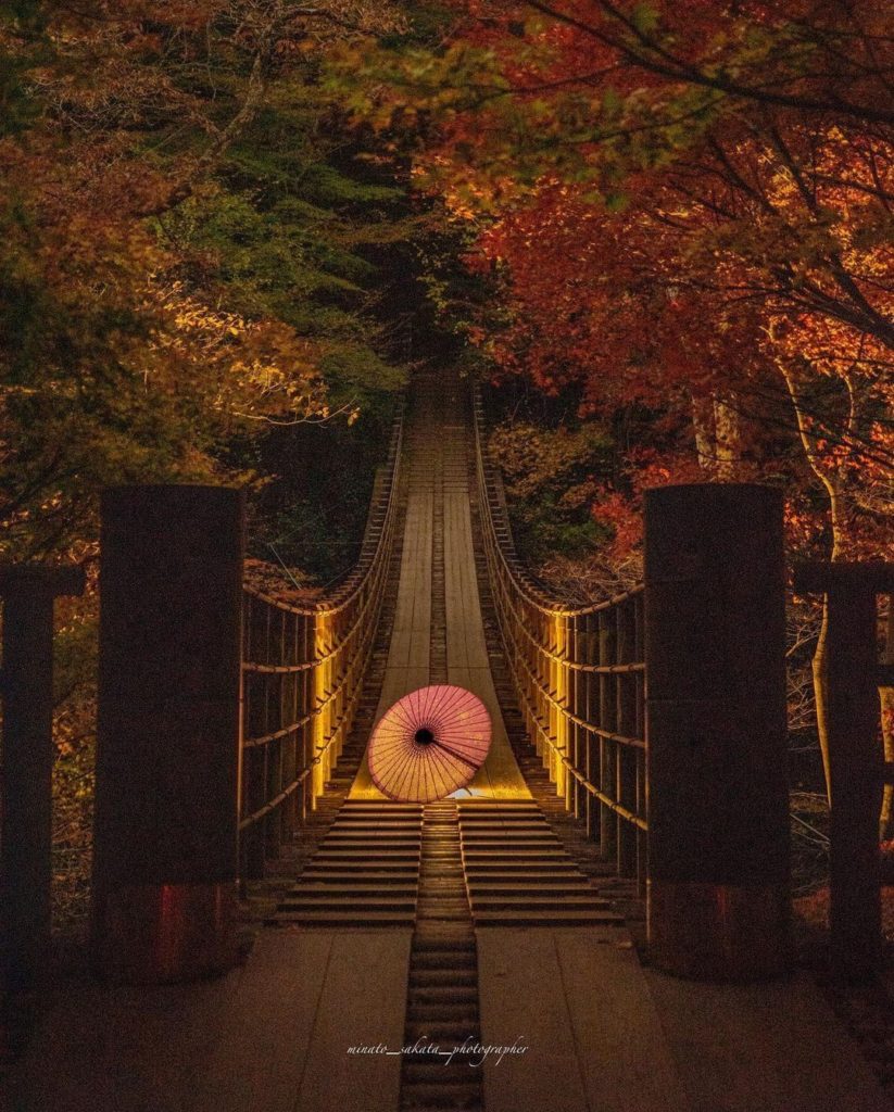 Visit Japan: What a stunning night view with a beautiful Japanese umbrella
Stretches from Han… What a stunning night view with a beautiful Japanese umbrella
Stretches from Han...