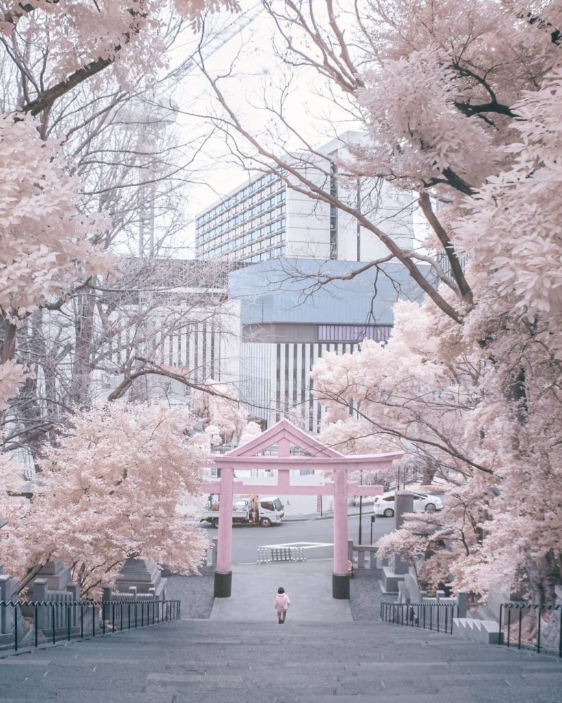 Last post of the year to say goodbye.  Thank you everyone, I'm grateful 
.
Happy...