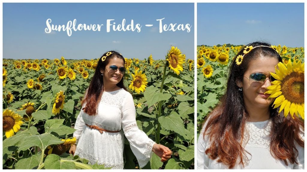 Sunflower Fields | Bonham State Park | Whitewright Texas | A Day in my Life | Travel Diaries