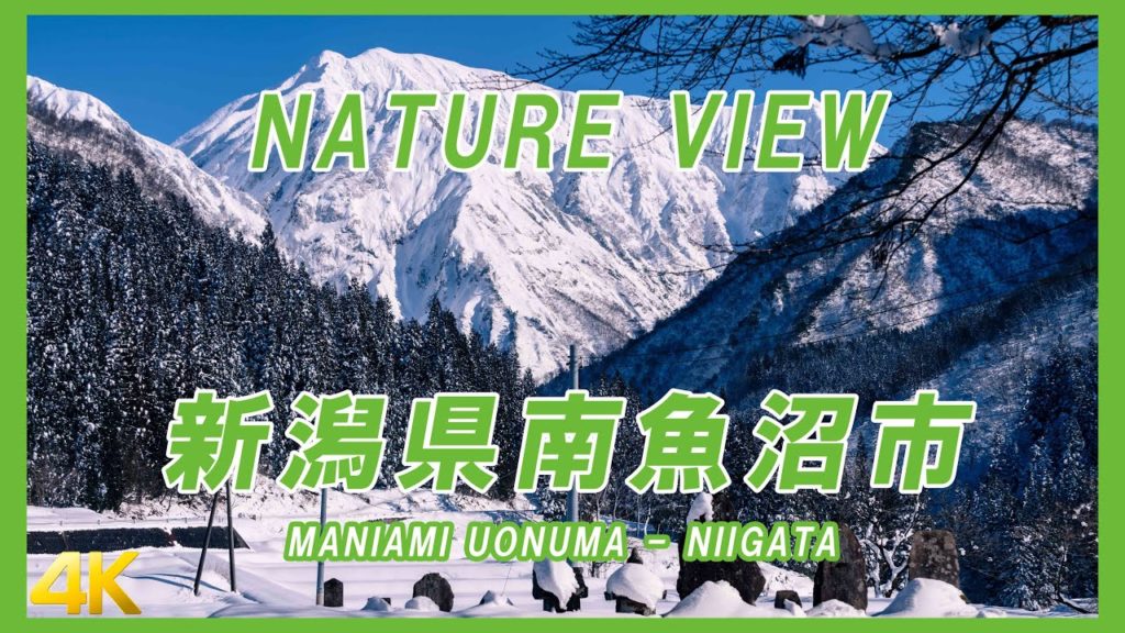 『Winter White』- Minami-Uonuma, Niigata, Japan