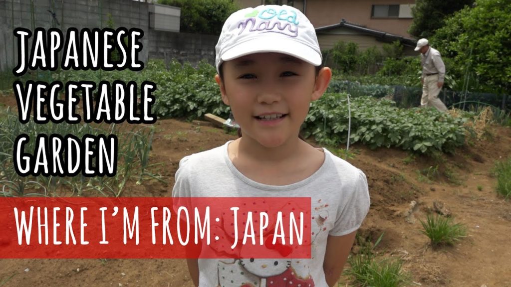 A Visit to a Japanese Vegetable Garden