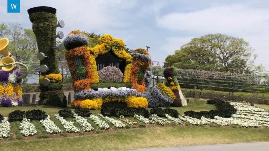 Hamamatsu Flower Park, Japan, Tulip Garden Hamamatsu Flower Park, Japan, Tulip Garden