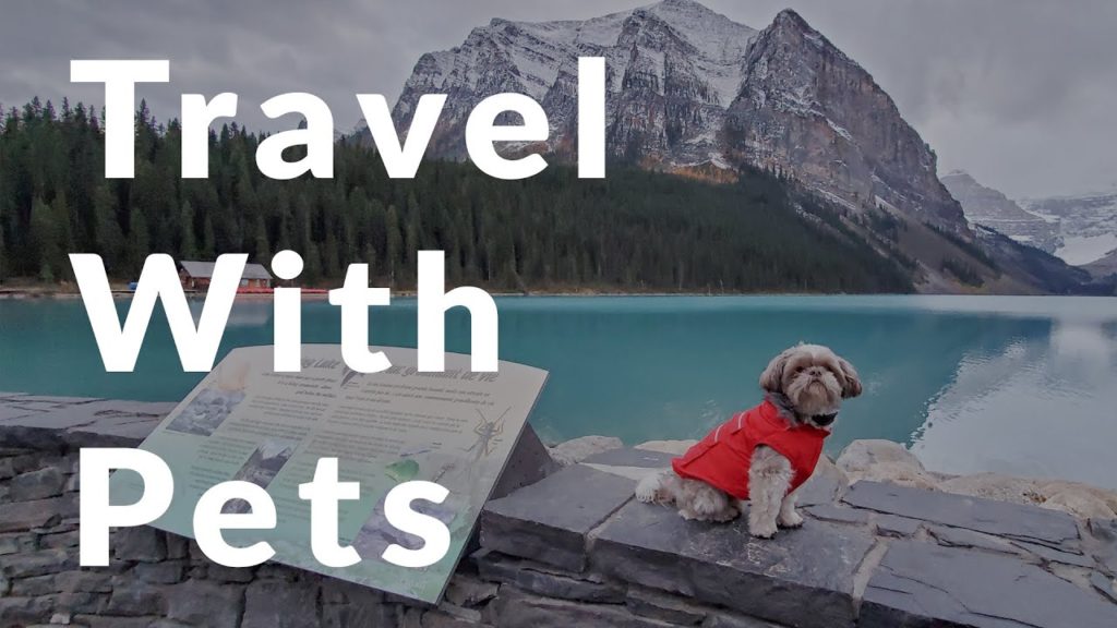 Home is where you bark It: RV travel with pets Home is where you bark It: RV travel with pets
