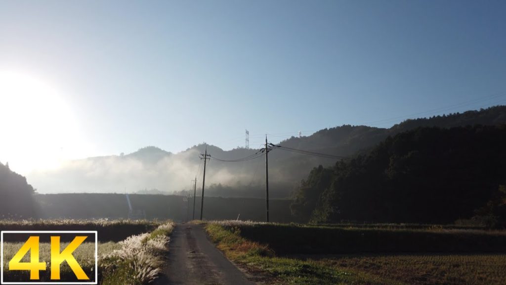 【4K】Countryside of Japan: Morning walk: October【朝の散歩】