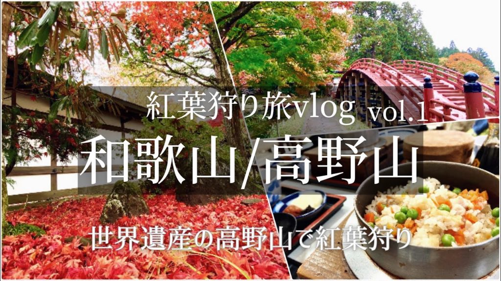 【ドライブ旅Vlog】日本・和歌山 高野山旅行 Vol.1/世界遺産/紅葉/観光・食べ歩き/ご当地グルメ/旅行 動画/おすすめ 【ドライブ旅Vlog】日本・和歌山 高野山旅行 Vol.1/世界遺産/紅葉/観光・食べ歩き/ご当地グルメ/旅行 動画/おすすめ