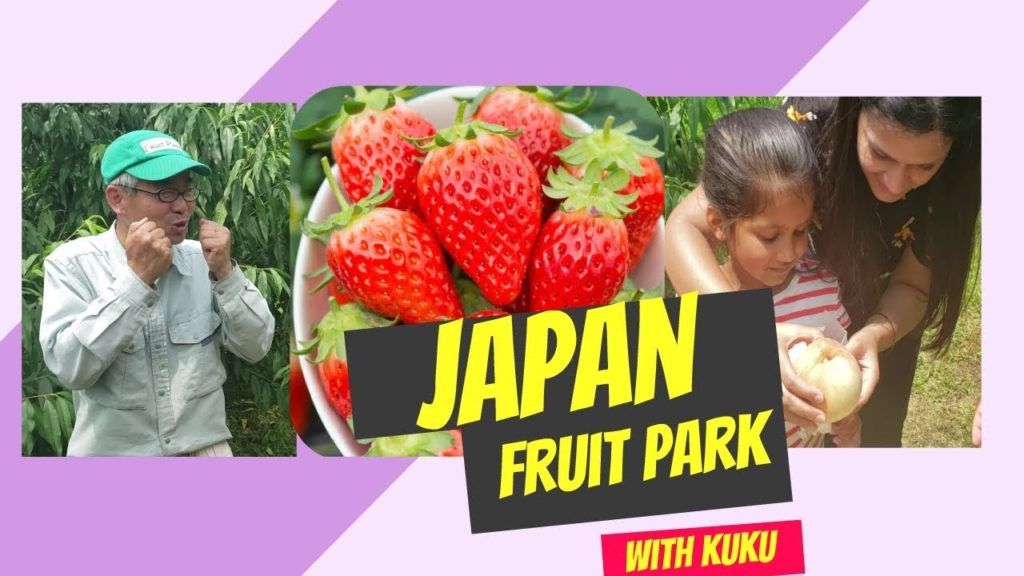 Fruit Park Hamamatsu Japan 🍇🍈🍑🍊🍒 2019 | Spicy Memories By Neha