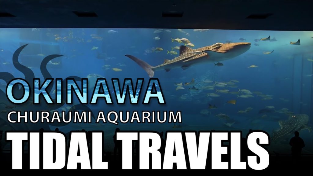 Okinawa Churaumi Aquarium (Kuroshio Sea) Okinawa Churaumi Aquarium (Kuroshio Sea)