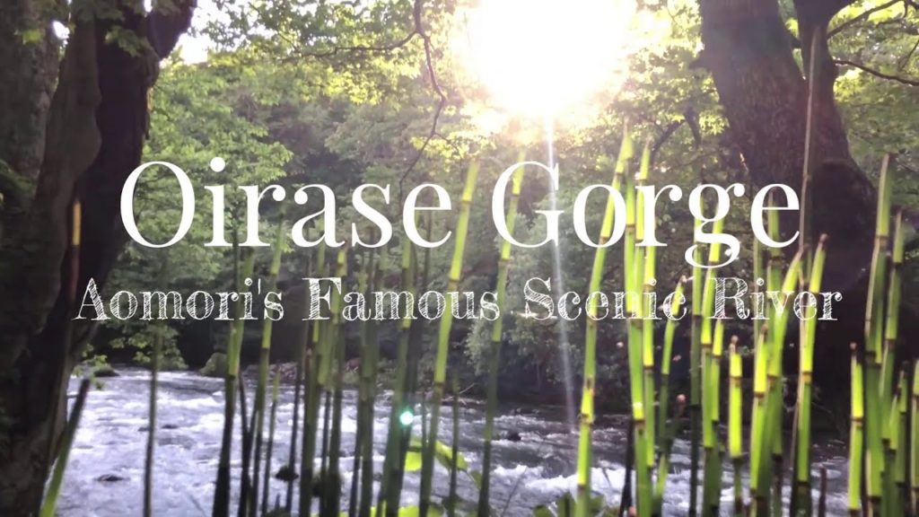 Oirase Gorge: Aomori Prefecture's Famous Scenic River - LIVE JAPAN