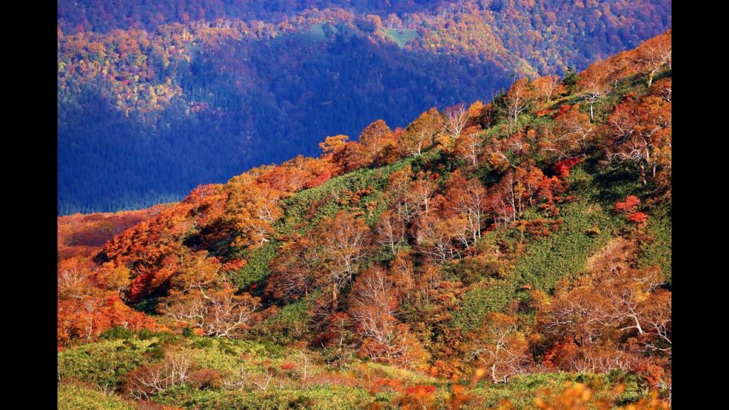 JG☆☆☆☆8K HDR 秋田 秋田駒ヶ岳の紅葉 Akita,Akita Komagatake in Autumn