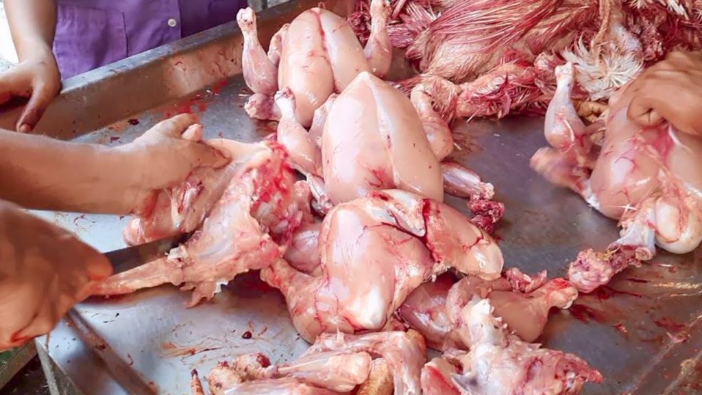 Amazing Chicken cutting skills | Live Chicken cutting | Cutting Skills
